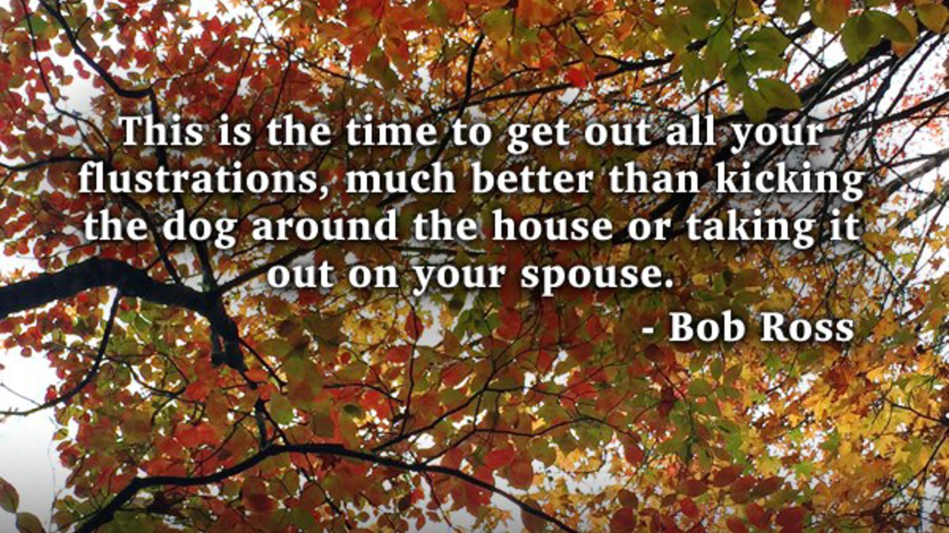 Quote Flustrations