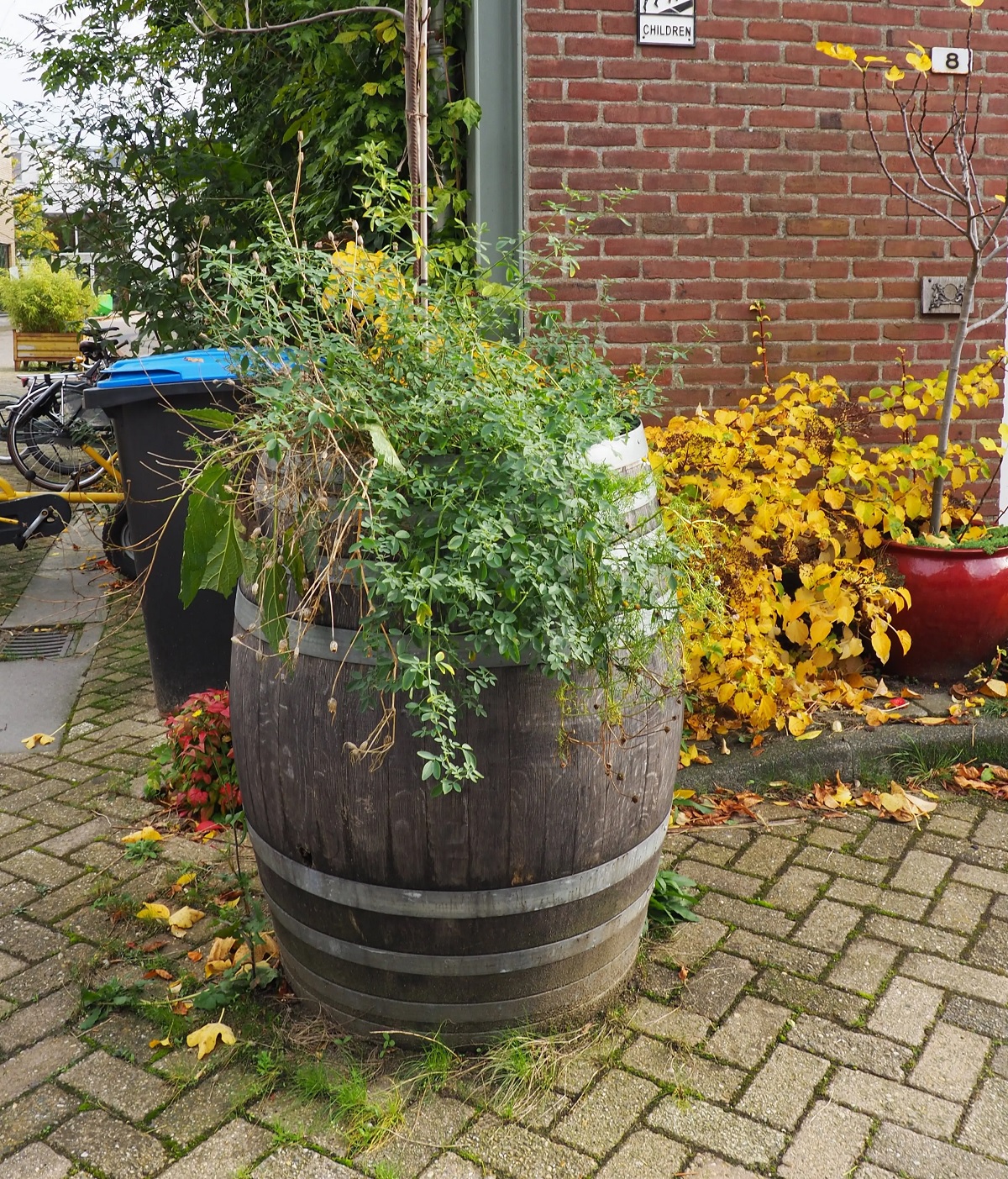 Morgencirculair Regenton 1200Px