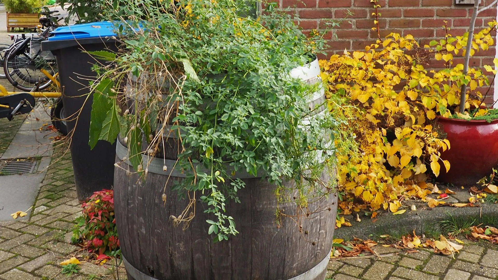 Morgencirculair Regenton 1200Px